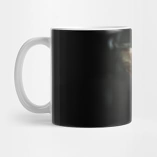 Awakening Mug